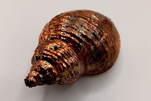 electroformed-copper-plated-seashell.jpg